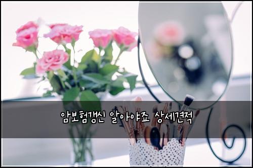 암보험갱신 알아야죠 상세견적
