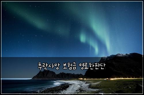 추락사망 보험금 명료한판단