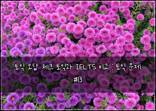 토익 오답 체크 토익과 IELTS 비교 : 토익 문제 #13