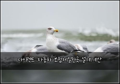 다이렉트 자동차 보험제일한곳 설계계산