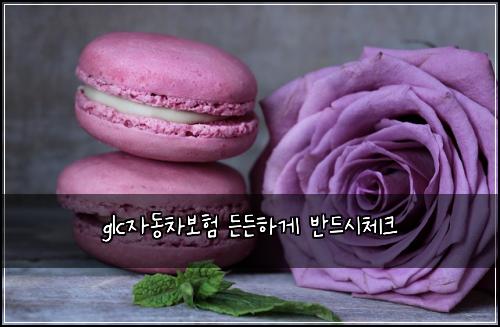 glc자동차보험 든든하게  반드시체크
