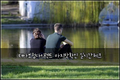 태아보험다이렉트 마지막확인 실시간체크