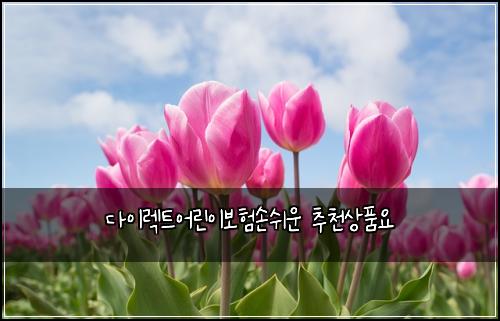 다이렉트어린이보험손쉬운 추천상품요