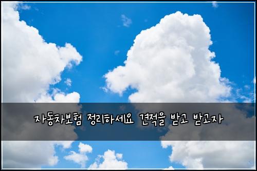 ์๋์ฐจ๋ณดํ ์ ๋ฆฌํ์ธ์ ๊ฒฌ์ ์ ๋ฐ๊ณ ๋ฐ๊ณ ์
