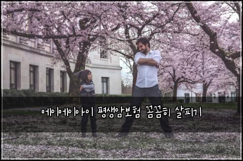 에이에이아이 평생암보험 꼼꼼히 살피기