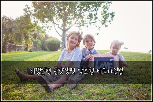 비갱신형 동양생명 암보험 비교가입법 
