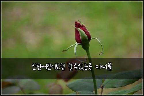 신한어린이보험 할수있는곳  자녀를