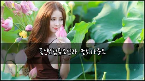 종신보험필요성과 정보가중요