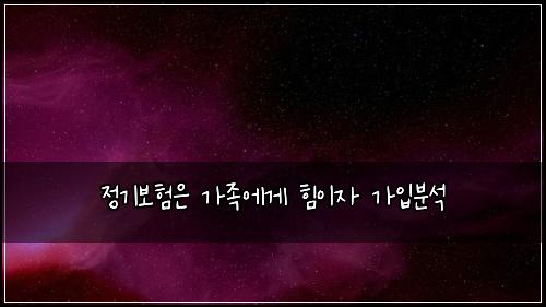 정기보험은 가족에게 힘이자 가입분석
