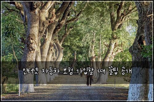 인터넷 자동차 보험 가입할 때 꿀팁 공개