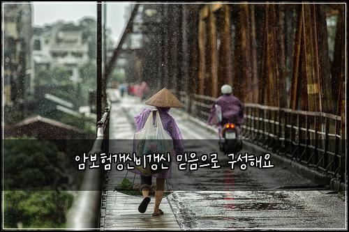 암보험갱신비갱신 믿음으로 구성해요