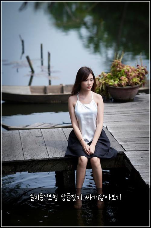 실비종신보험 상품찾기  싸게알아보기