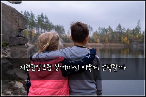 저렴한암보험 설계까지  어떻게 선택할까
