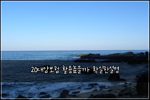 20대암보험 활용높을까  확실한설명