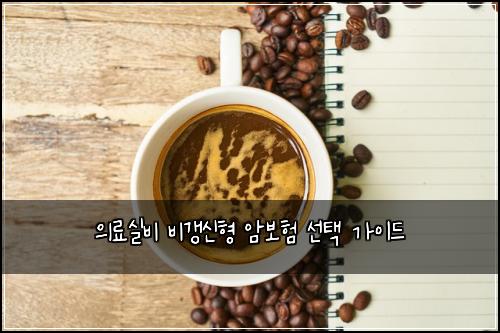 의료실비 비갱신형 암보험 선택 가이드