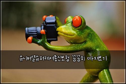 유니버셜슈퍼케어종신보험 꼼꼼히 따져보기