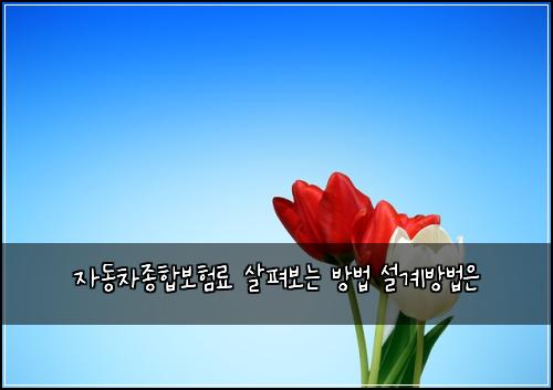 자동차종합보험료 살펴보는 방법 설계방법은