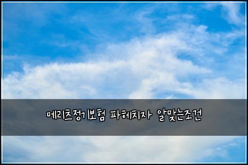 ๋ฉ๋ฆฌ์ธ ์ ๊ธฐ๋ณดํ ํํค์น์ ์๋ง๋์กฐ๊ฑด