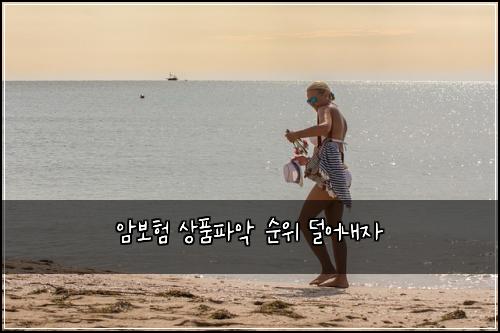 암보험 상품파악  순위 덜어내자