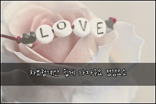 차보험계산 쉽게 가자구요 점검요소