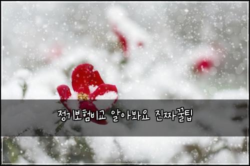 μ 기보νλΉκ΅ μμλ΄μ μ§μ§κΏν