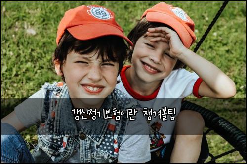 갱신정기보험이란 챙겨볼팁