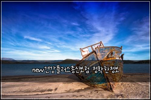 new건강플러스종신보험 정확한정보 