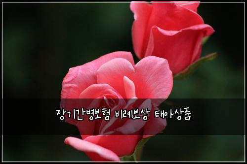 장기간병보험 비례보상  태아상품