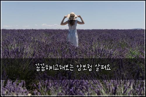 ๊ผผ๊ผผํ๋น๊ตํด๋ณด๋ ์๋ณดํ ์ดํด์