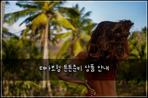 태아보험 튼튼준비  상품 안내