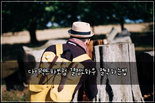λ€μ΄λ νΈμ°¨λ³΄ν κ²°μ λ
Ένμ° μ μ½νλλ²