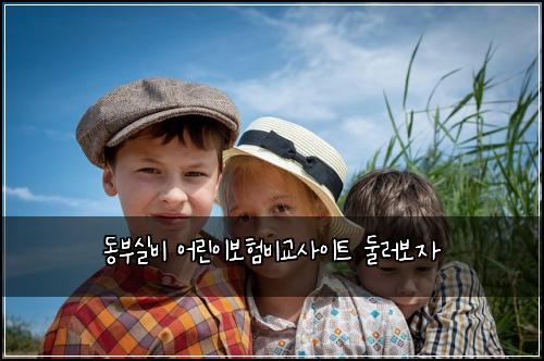 ๋๋ถ์ค๋น ์ด๋ฆฐ์ด๋ณดํ๋น๊ต์ฌ์ดํธ ๋๋ฌ๋ณด์