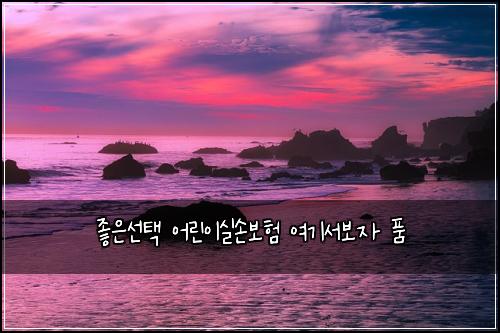 좋은선택 어린이실손보험 여기서보자  품