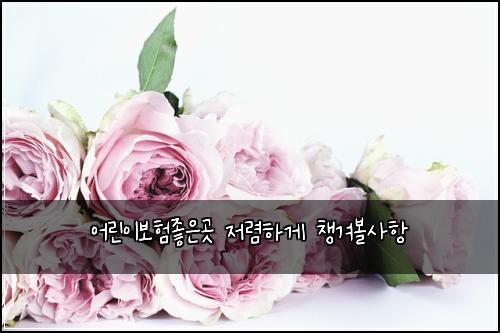 어린이보험좋은곳 저렴하게 챙겨볼사항
