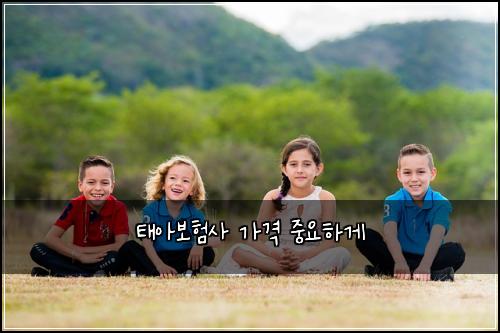 태아보험사 가격 중요하게