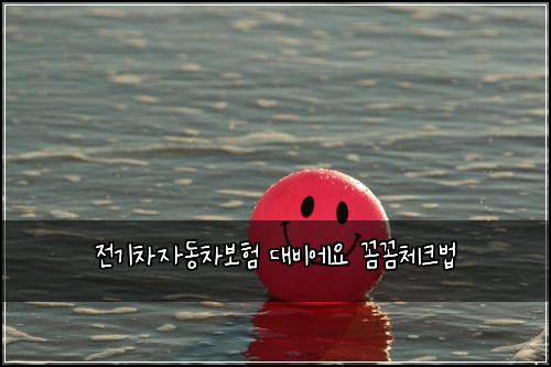 전기차자동차보험 대비에요  꼼꼼체크법