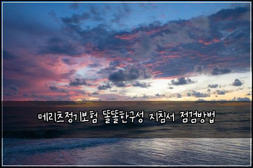메리츠정기보험 똘똘한구성  지침서 점검방법