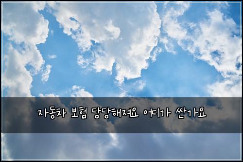 자동차 보험 당당해져요  어디가 싼가요