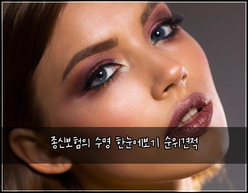 종신보험의 수명 한눈에보기 순위견적