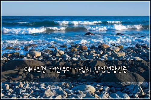 태아보험 계산부터  가입시 갑상선항진증