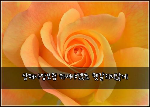 상해사망보험 하셔야겠죠  헷갈리지않게