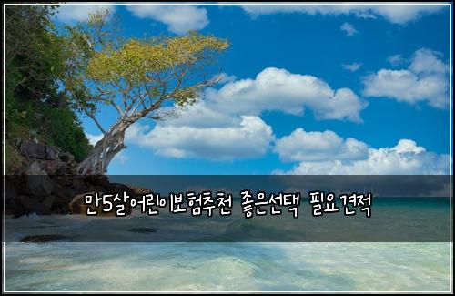 만5살어린이보험추천 좋은선택 필요견적