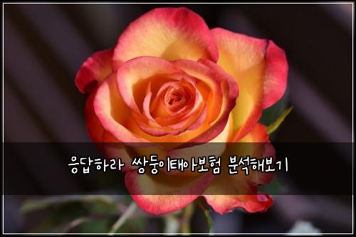 ์๋ตํ๋ผ ์๋ฅ์ดํ์๋ณดํ ๋ถ์ํด๋ณด๊ธฐ