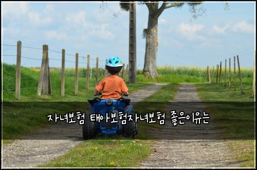 자녀보험 태아보험자녀보험 좋은이유는