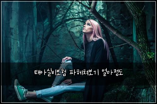 ํ์์ค๋น๋ณดํ ํํค์ณ๋ณด๊ธฐ ์ผ๋ง์ ๋