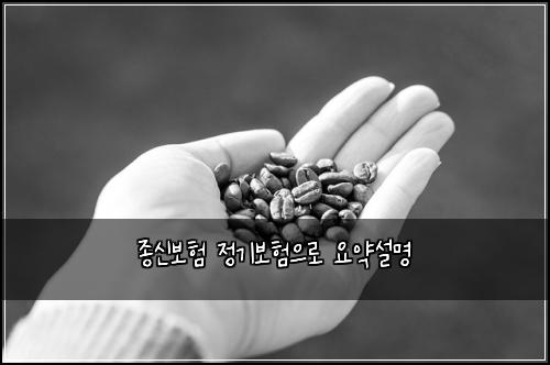 종신보험 정기보험으로 요약설명