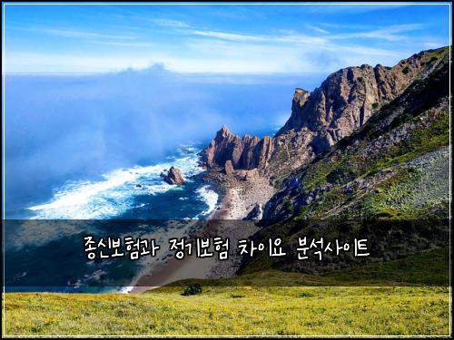 종신보험과 정기보험 차이요 분석사이트
