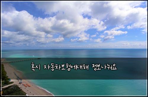 혹시 자동차보험에대해 정보나눠요
