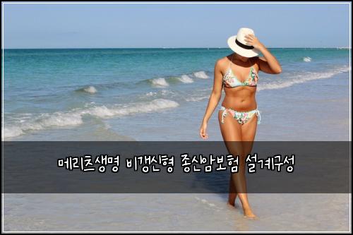 메리츠생명 비갱신형 종신암보험 설계구성 
