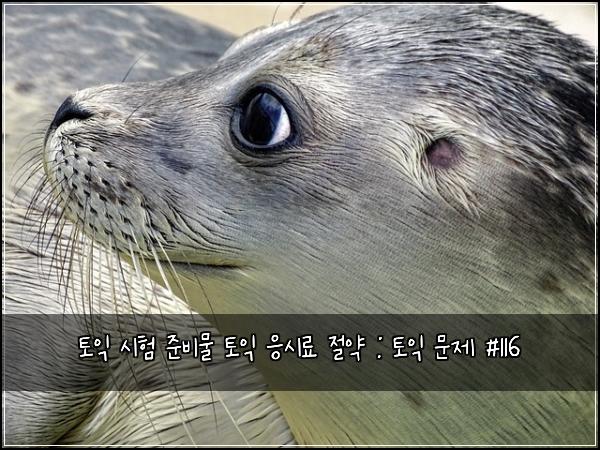 토익 시험 준비물 토익 응시료 절약 : 토익 문제 #116